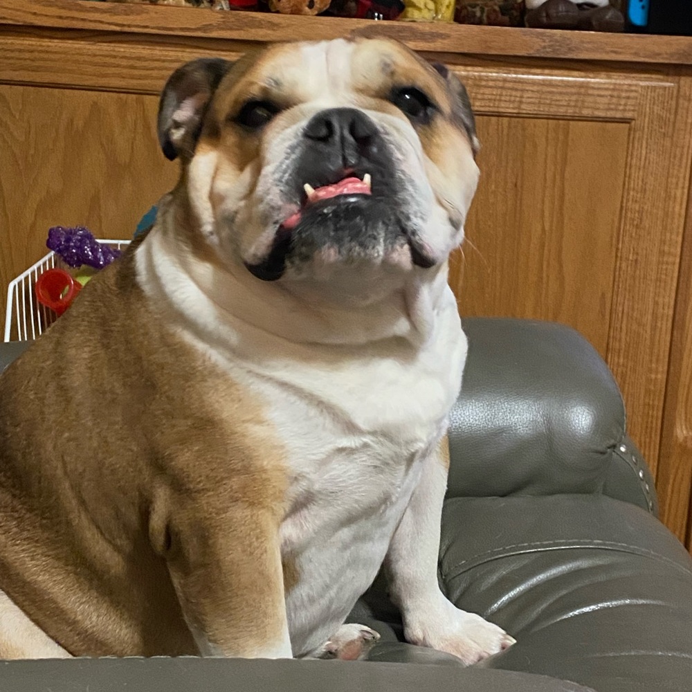 Meet your Posher, Tiffani